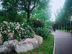 -丰台花园
