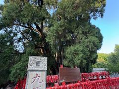 -四门塔风景区