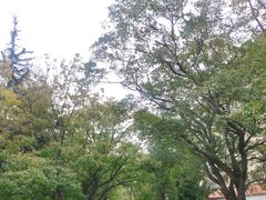 -八大关景区