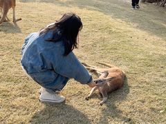 -泉州海丝野生动物世界