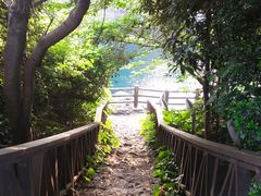 -龙头岩(Dragon Head Rock)