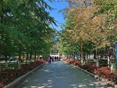 -长白岛森林公园