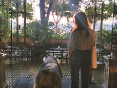 -more than meow吴止猫主题餐厅(承德 中船汇店)