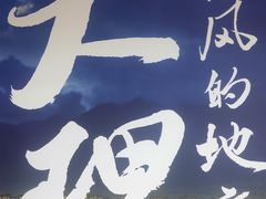 -云海肴·汽锅鸡·云南代表菜(天山百盛优客店)