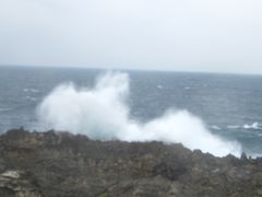 -龙坑生态保护区