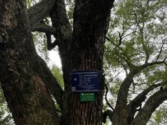 -柳侯公园