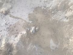 -上海南汇嘴大堤酒店