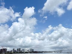 -莲欢海蛎煎