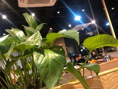 -凤兴鸡煲(宝安海雅店)