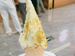 -野人先生现做冰淇淋(西安赛格店)