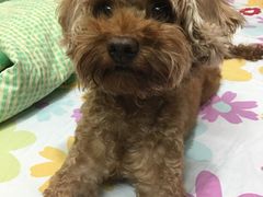 -爱侣宠医·鹦鹉专科·小型哺乳类·异宠专科(灵石路店)