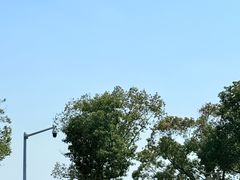 -晓琦农家菜馆·地道农家菜