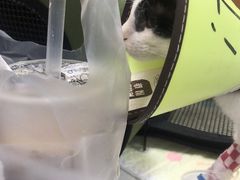 -联合动物医院(光谷诊疗中心)