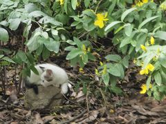 -毛华美食(清扬路店)