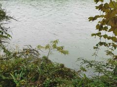 -蜀水别园(青杠树店)