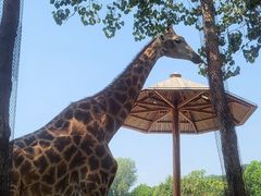 -大连森林动物园