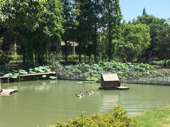-乌村