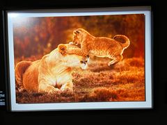 -罗红摄影艺术馆