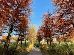 -梁鸿国家湿地公园