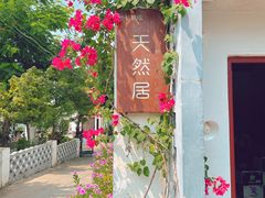 -天然居(伦教店)