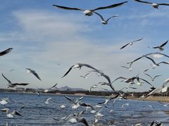 -老虎石海上公园