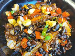 -鸡毛店·川菜(双楠店)