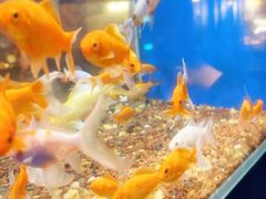 -蚝翅·海鲜粥·烧烤·龙虾季(海曙天一店)