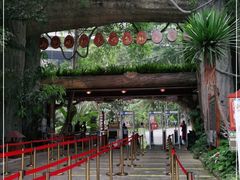 -西双版纳原始森林公园