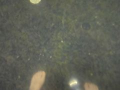 -明月山天沐温泉度假村