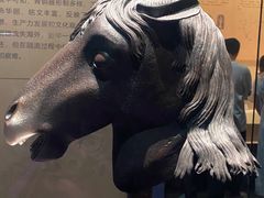 -广西壮族自治区博物馆