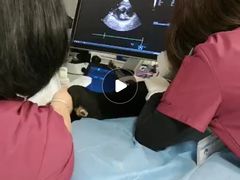 -纳吉亚猫专科动物诊疗中心(蒋宅口分院)