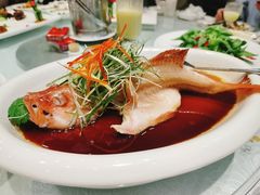 翅汤东星斑-金米箩大酒店(五角场店)