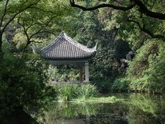 -叶家花园