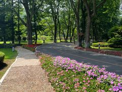 -棒棰岛宾馆景区