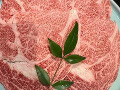 -然锅料理