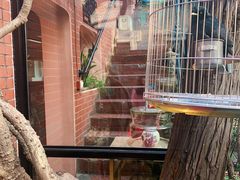 -古董花园(思南路42弄小区店)