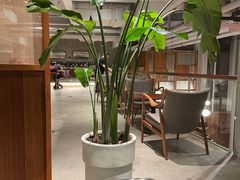 -有序Orderly融合西餐·咖啡(运河外滩店)