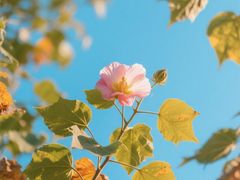 -西安市长乐公园