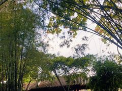 -望江楼公园