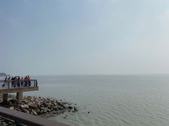 -深圳湾公园(南山区)