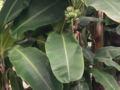 -南通洲际绿博园