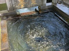 -百脉泉景区