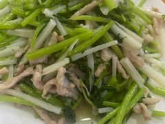 -小叶大馅饺子城