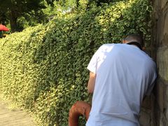 -苏州河梦清园环保主题公园