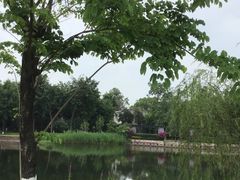 -成飞公园
