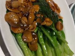 -新侨小馆(东直门北小街店)