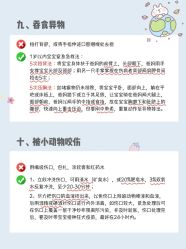 点击看大图 -杭州贝瑞斯美华妇儿医院·早孕·产检·儿科