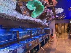 海鲜区-鼎泰亨·海鲜牛肉餐厅(滨江店)