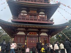 -庐山风景名胜区-东林大佛