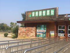 -武清南湖绿博园